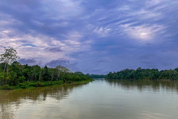 img-5158-amazon2021F9AA8B5A-E646-D8A5-C2E2-0907AE4C539D.jpg