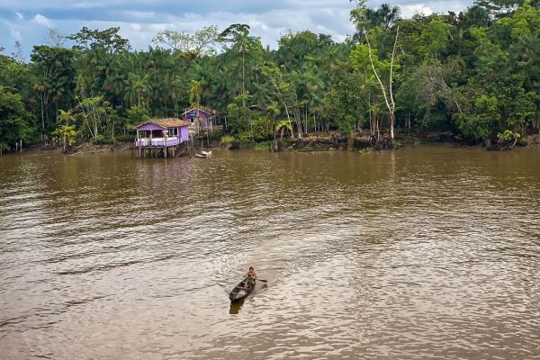 img-5967-amazon2021BBDF2C0D-4FBF-9D2C-86C0-58934FB8CAFA.jpg