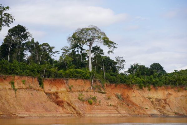 perouboliviebresil2023328137C59B-7352-30CD-2DF3-755D742C4F10.jpg